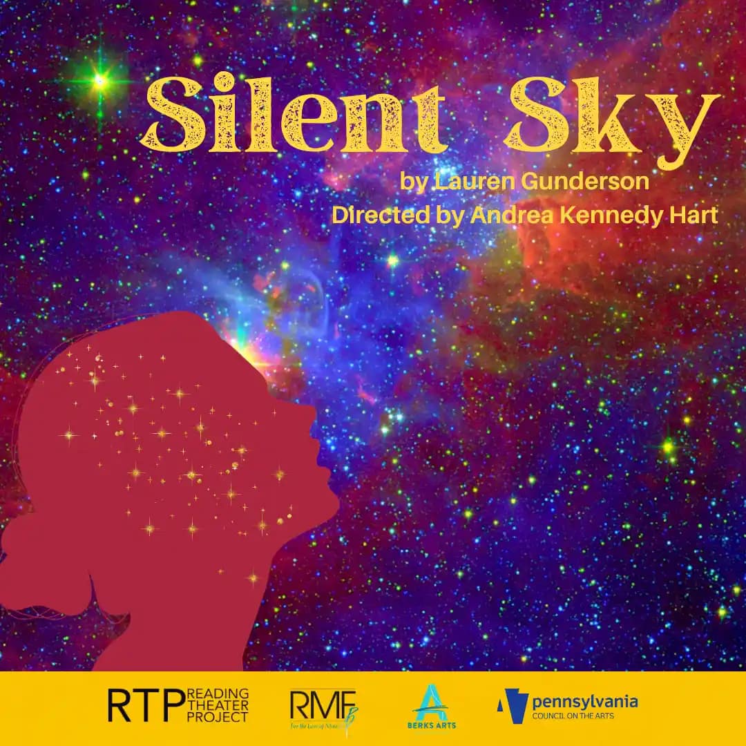 silent sky poster